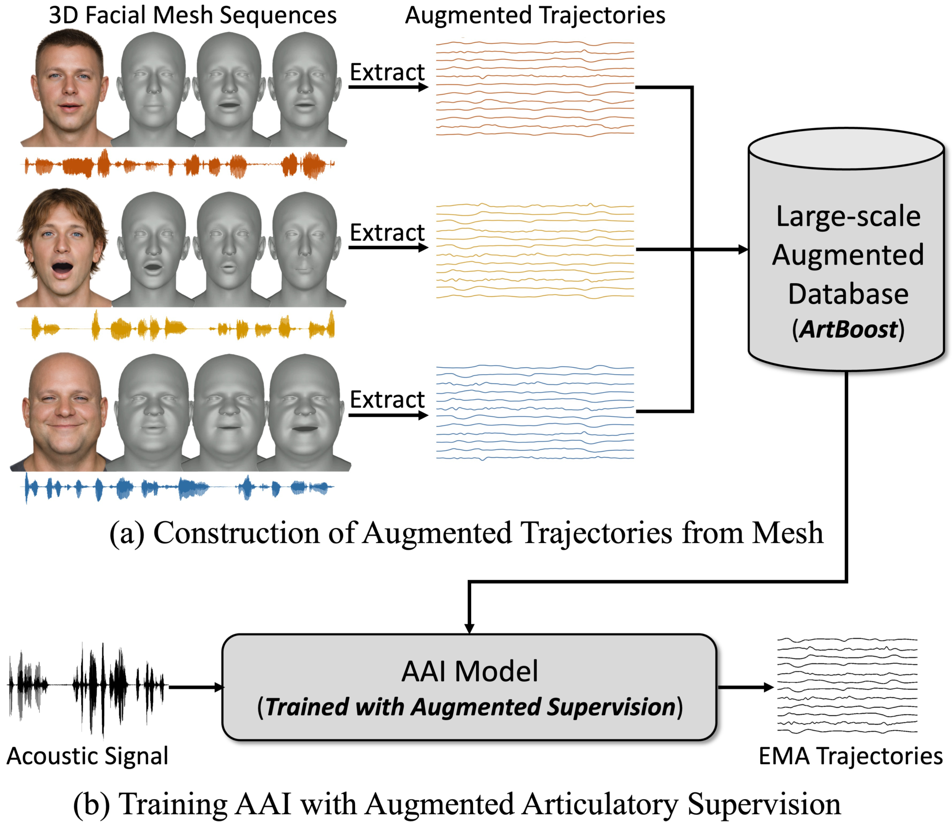 Overview of ArtBoost: (a) large-scale synthetic articulatory augmentation from audio-aligned 3D facial mesh sequences, and (b) training the AAI model using the augmented articulatory supervision.